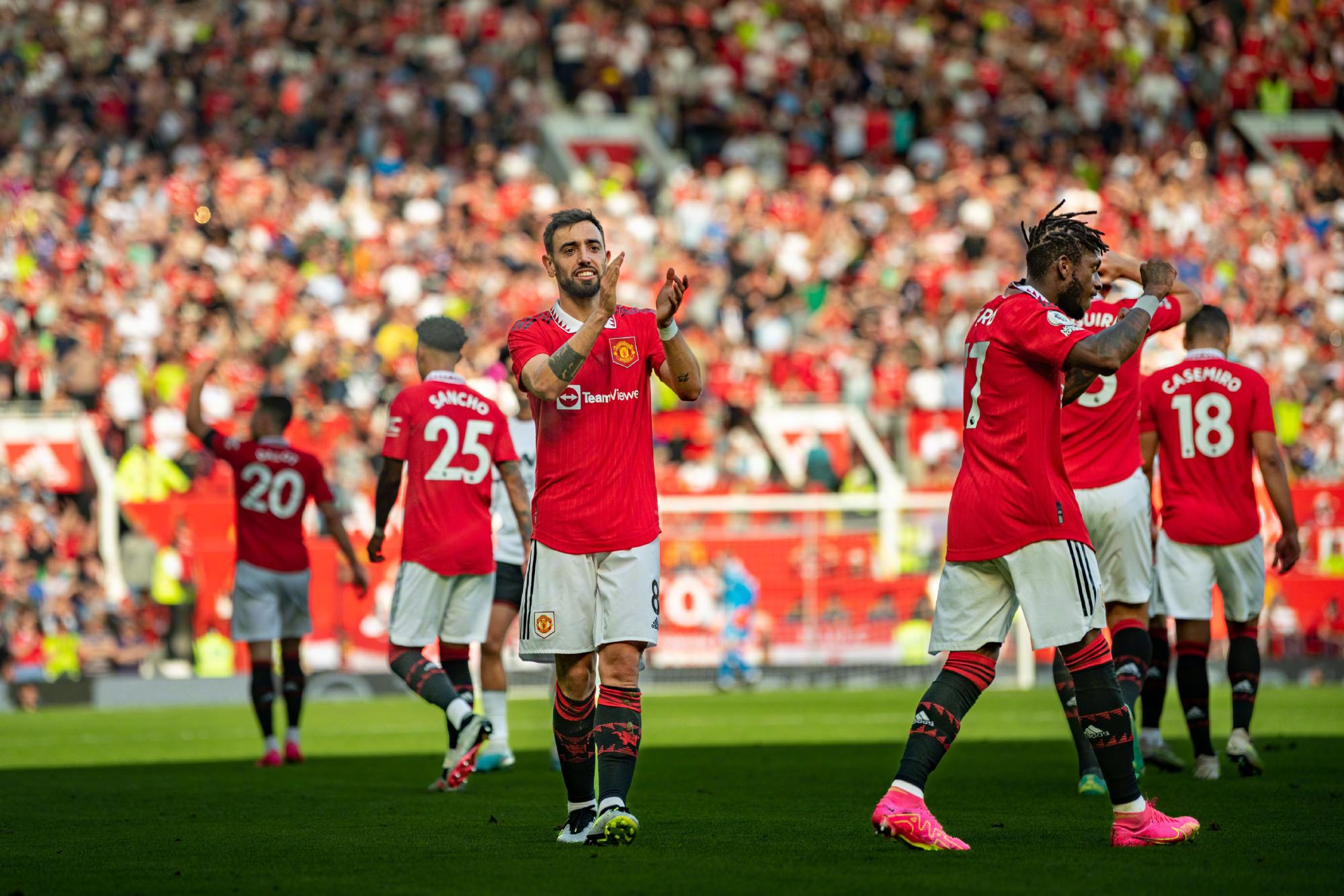 样化和开放 样化和开放